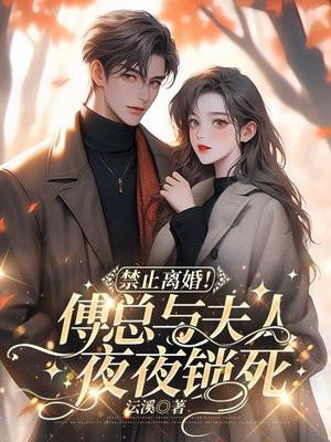 禁止离婚!傅总与夫人夜夜锁死 沄溪