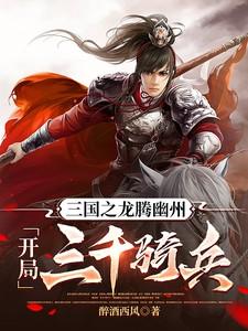 三国之龙象