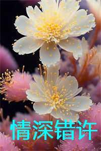 情深许是什么意思