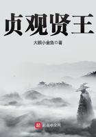 贞观贤王百科