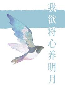我欲将心养明月全文免费
