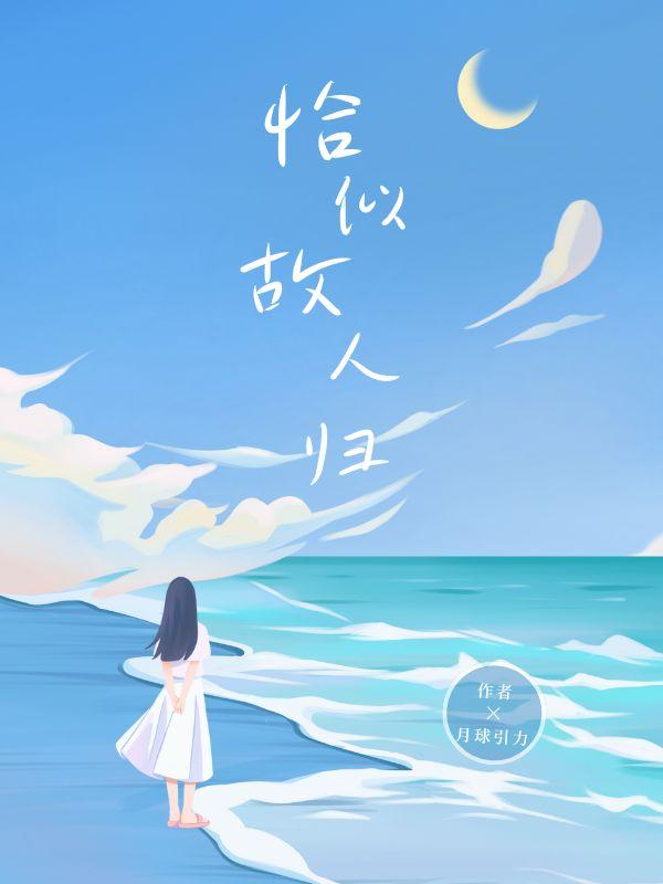 恰似故人归 电视剧演员表