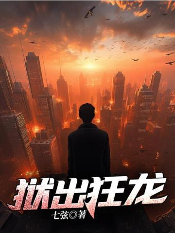 出狱狂龙秦风林婉儿和好了吗