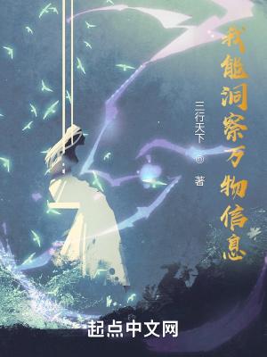 我能看见万物bug
