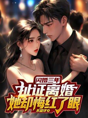 闪婚闪离目录