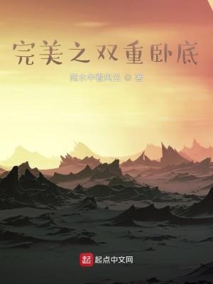 完美之双重卧底全文免费阅读