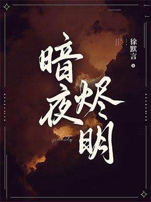 暗夜烬明电视剧免费观看