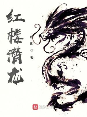 红楼潜龙 笔趣阁