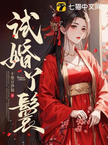 江书试婚丫鬟