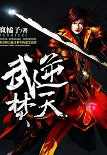 武逆焚天境界详细详解