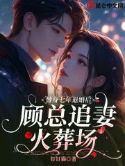 顾少替身甜妻