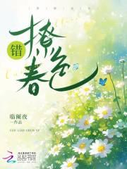 错撩全文t