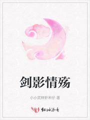 剑影情殇第9集免费观看