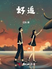 王妃不好追