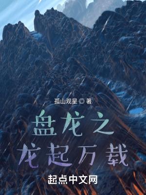 盘龙之起点中文网