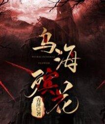 乌海燃放烟花