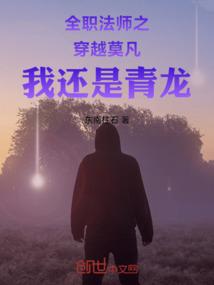 全职法师穿越成莫凡