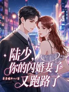 闪婚豪门陆少宠妻请低调