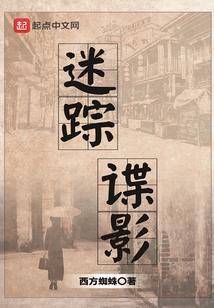 迷踪谍影孟绍原无弹窗