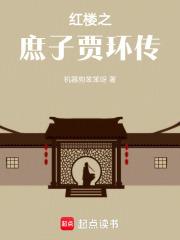 穿越红楼之庶子贾综的