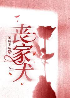 丧家犬一般指什么人