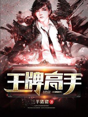 女总裁的王牌高手漫画