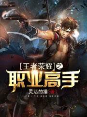 王者荣耀之高手无敌免费阅读