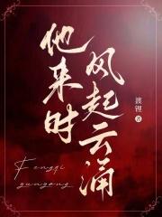 他来时携风雨全文