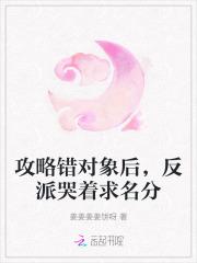 攻略错对象了txt
