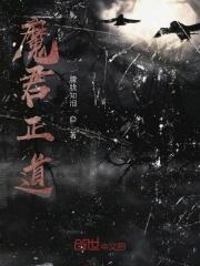 魔君正值中二期全集