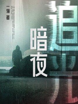 暗夜追光在线观看全集免费