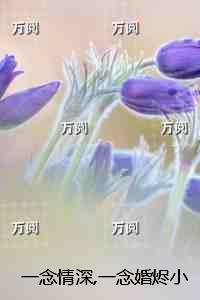一念情深短剧