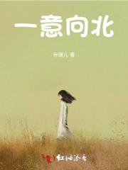 一臵向北