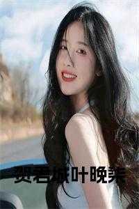 贺君城叶晚柒全文免费阅读无弹窗