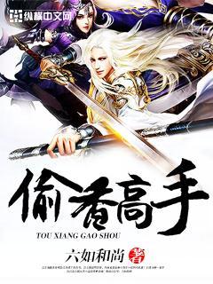 偷香高手无删减精校版