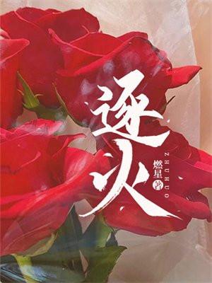 逐火者