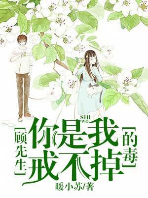 顾先生你是我戒不掉的毒全文阅读