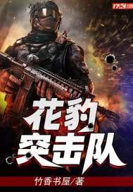 花豹突击队继续阅读