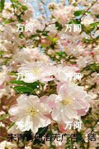 宋青雨傅正楠