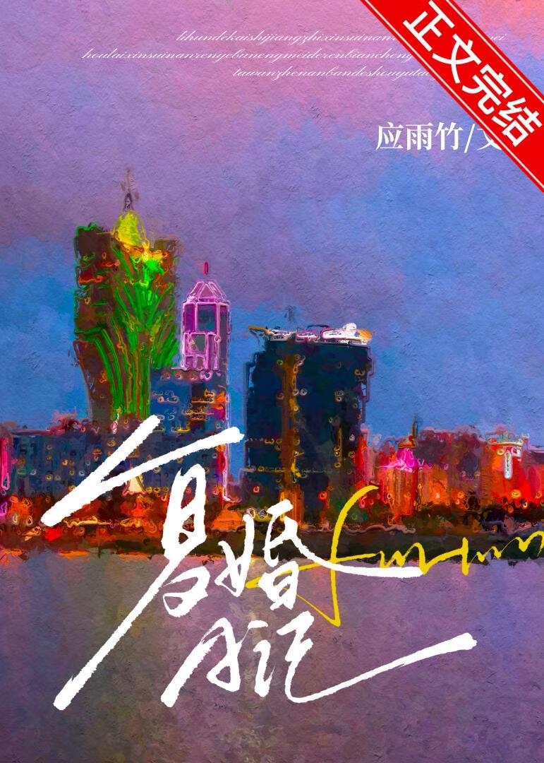 复婚日记by