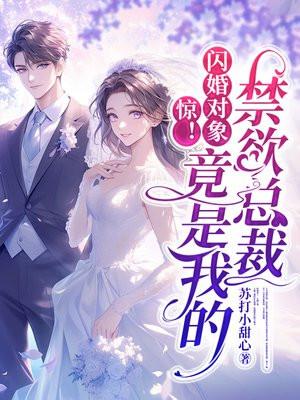 闪婚对象是我的新上司gl