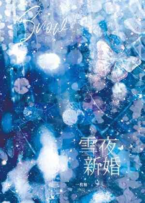 雪夜新婚txt