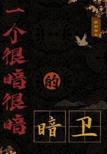 谍影命令与征服无防盗