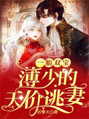 一胎双宝薄少的天价逃妻