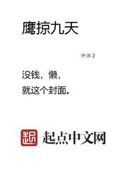 鹰掠九天同类型的空军