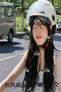 北风虽迟春不晚16章