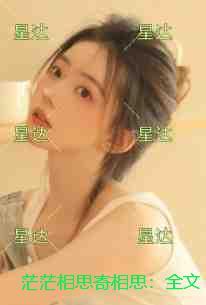 歌曲相思雨茫茫歌词